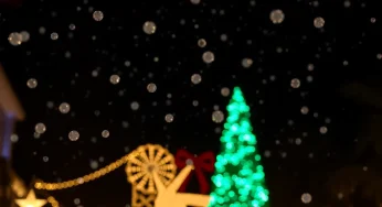 Cold Weather Expected in Orlando as Holiday Draws Near