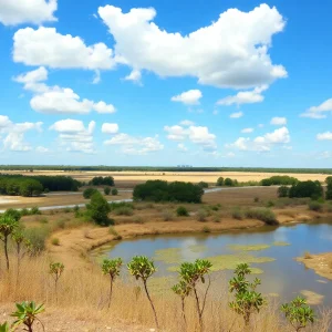 Scenic view of Central Florida under clear skies with signs of high summer temperatures.