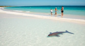 9-Year-Old Girl Suffers Severe Shark Bite While Snorkeling