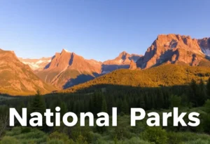 Scenic View of National Park