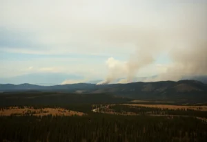 Wildfires in Canada
