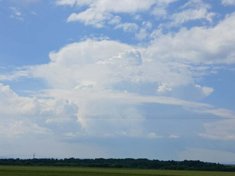 Sunny Friday in Orlando Gives Way to Windy, Showery Weekend