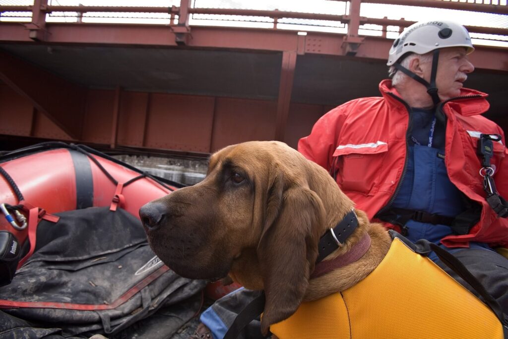 Rescue crew member and search dog aboard a rescue boat
